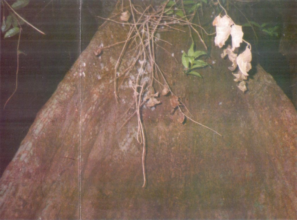 Encarte do CD "O Homem Correndo na Savana"