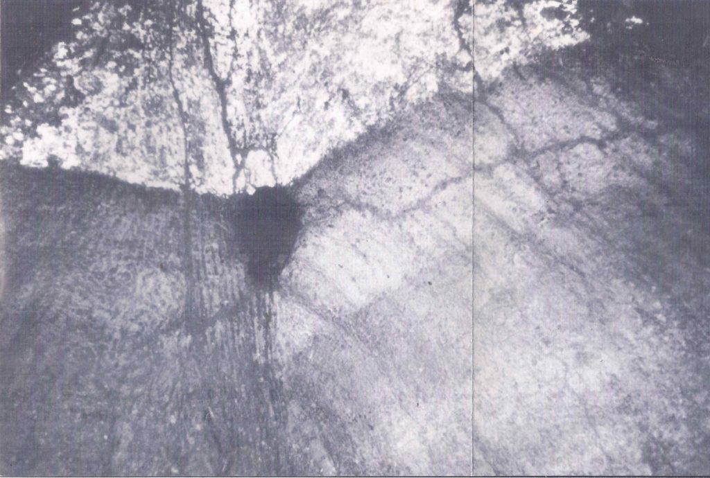 Encarte do CD "O Homem Correndo na Savana"