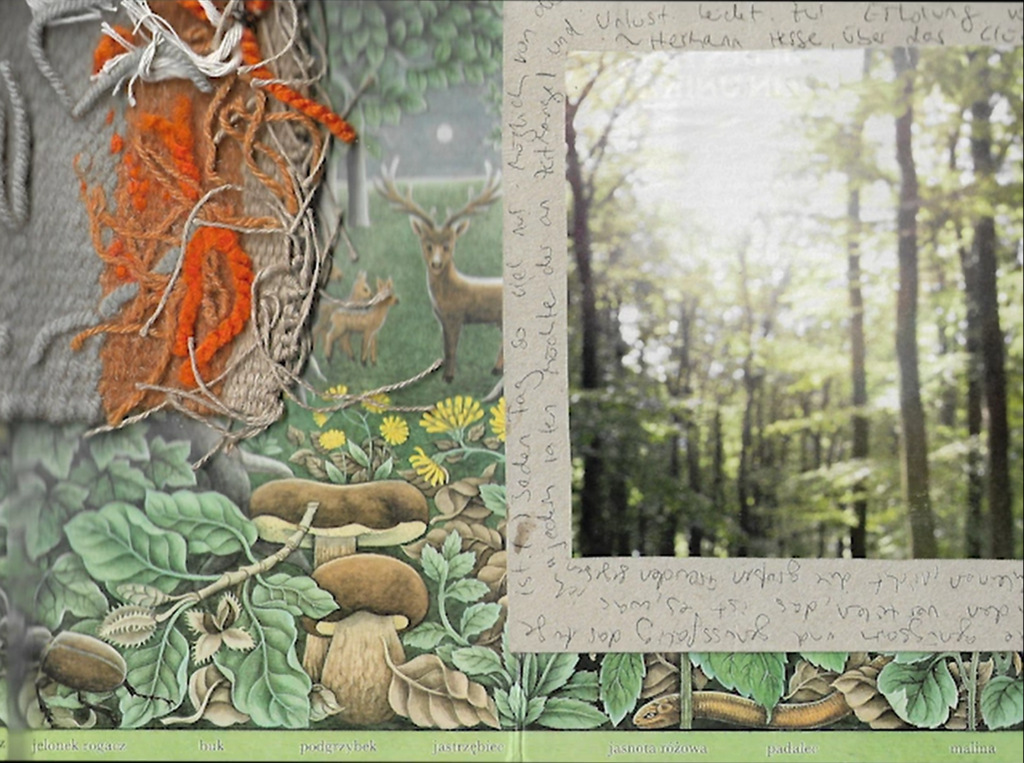 ser sua própria casa