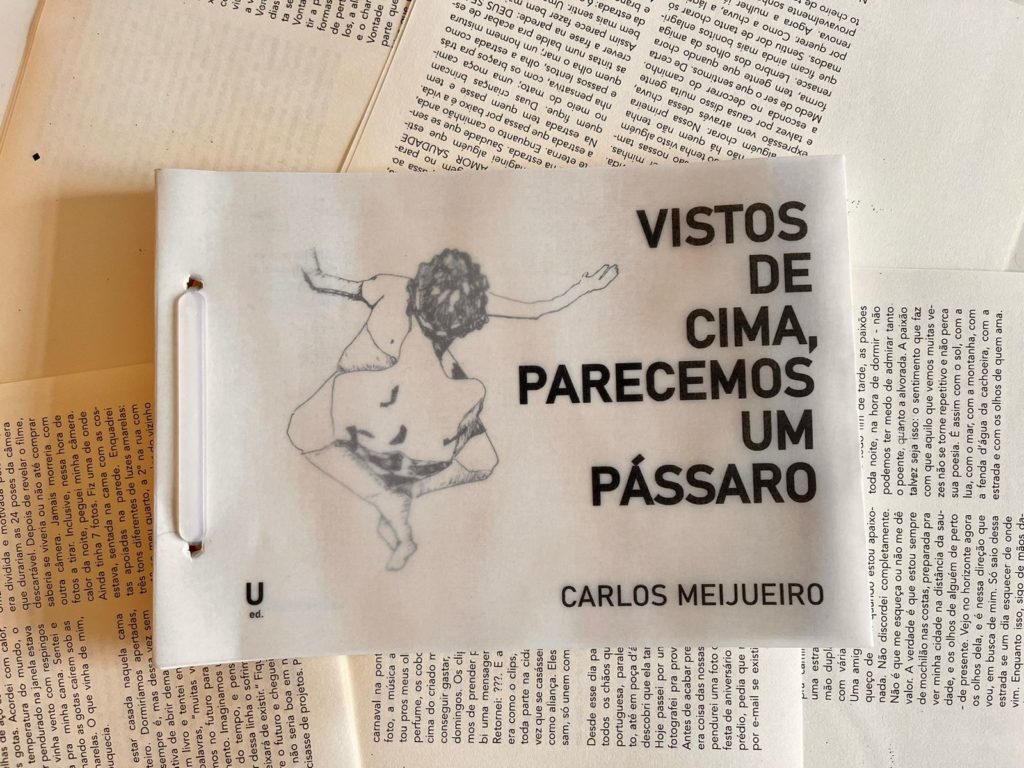 2 crônicas do livro Vistos de Cima Parecemos um Pássaro