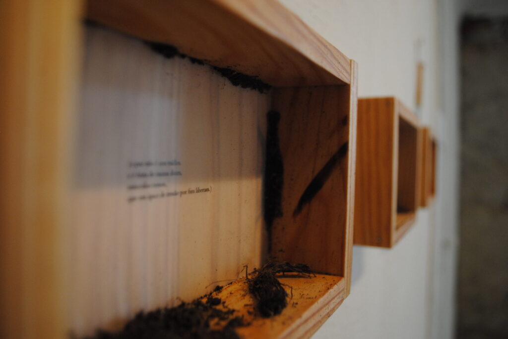 isto é sobre a parede